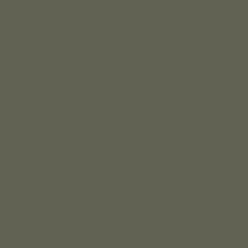 2140-30 Dark Olive